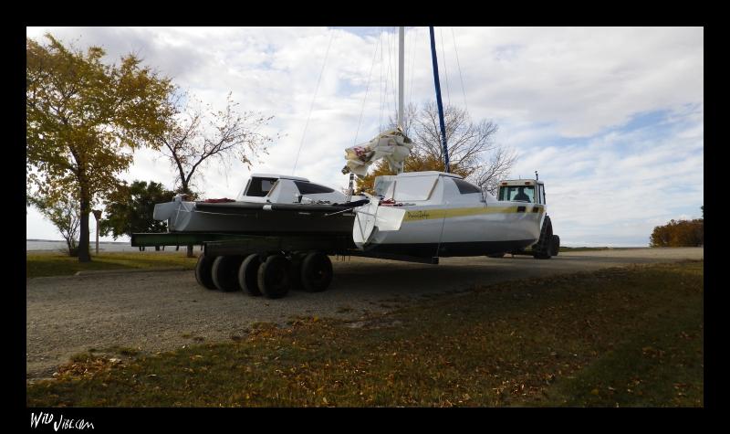 Haulout